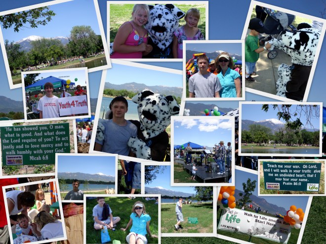 June in Colorado 20091